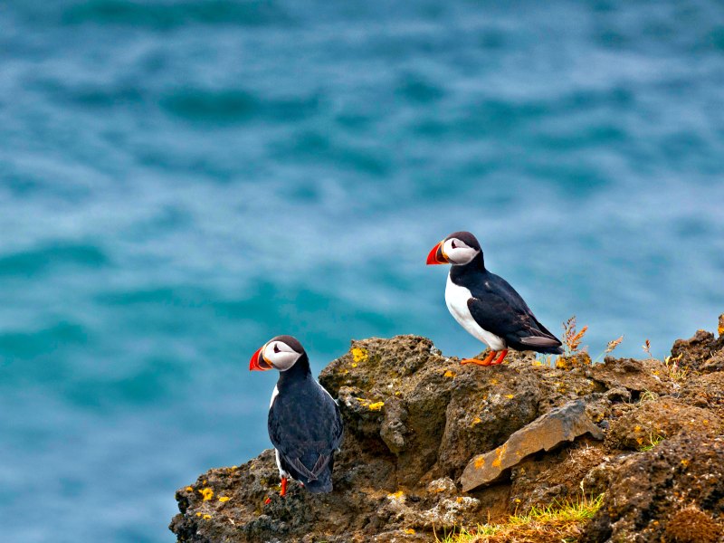 Things to do in Iceland