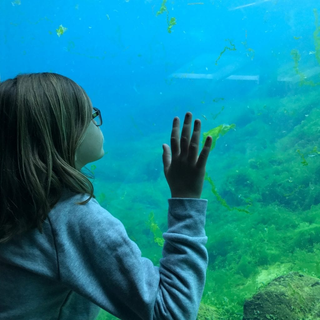 best family travel quotes