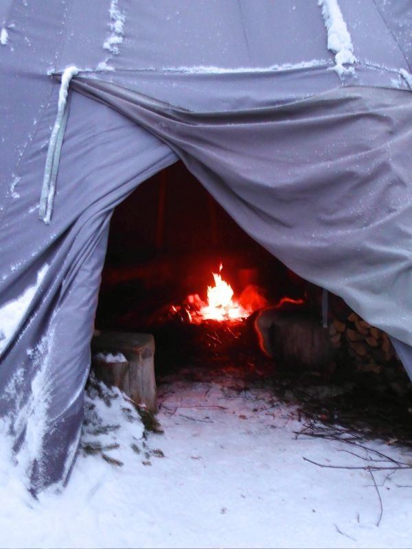 Reindeer Safari Lapland