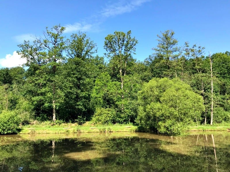 Things to do in Durbuy Riveo