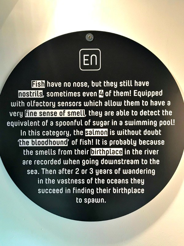 Things to do in Durbuy Riveo