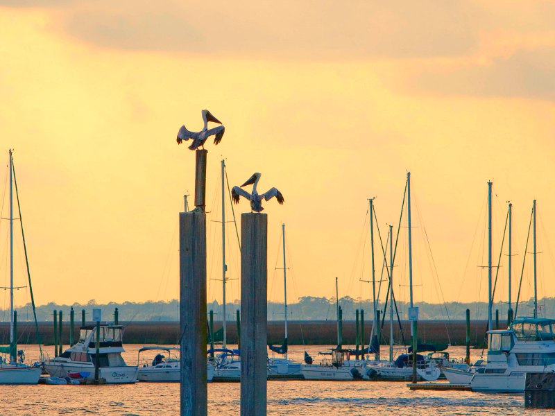 Road trip from DC to Florida