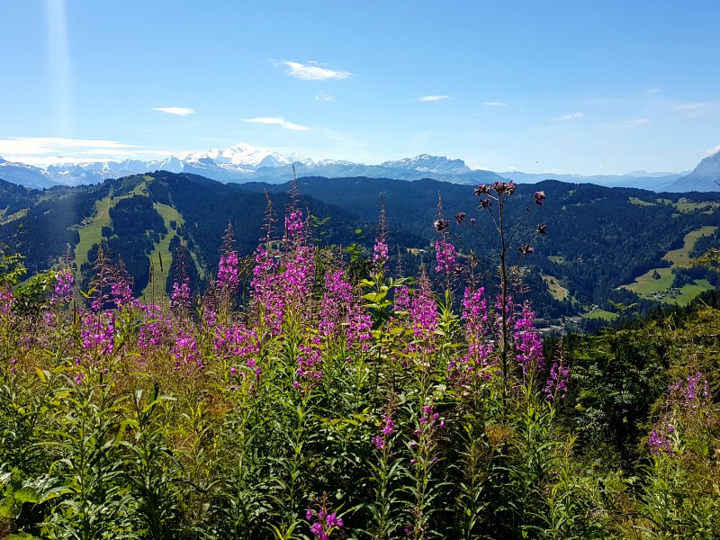 Active holidays for families