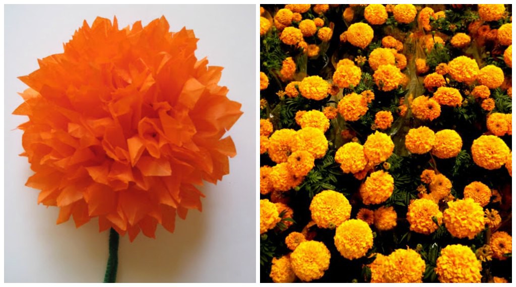 Making marigolds with tissue paper