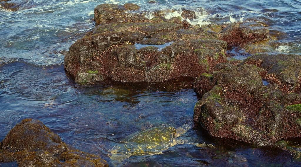 Hawaii Big Island Road trip itinerary