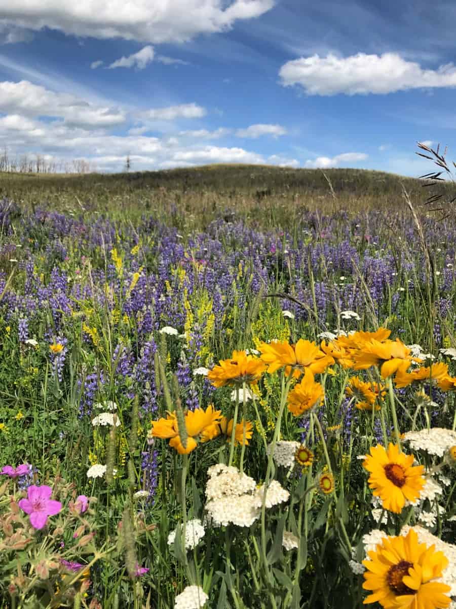 Waterton Lakes National Park