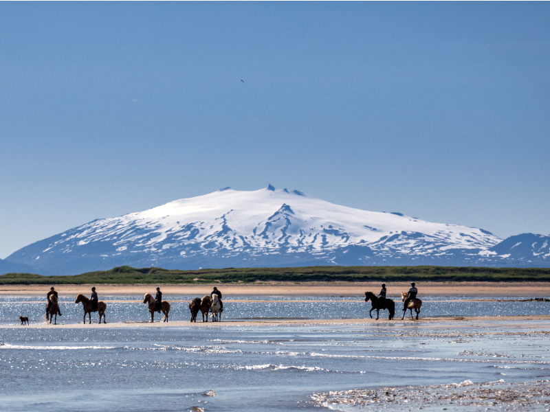 Things to do in Iceland
